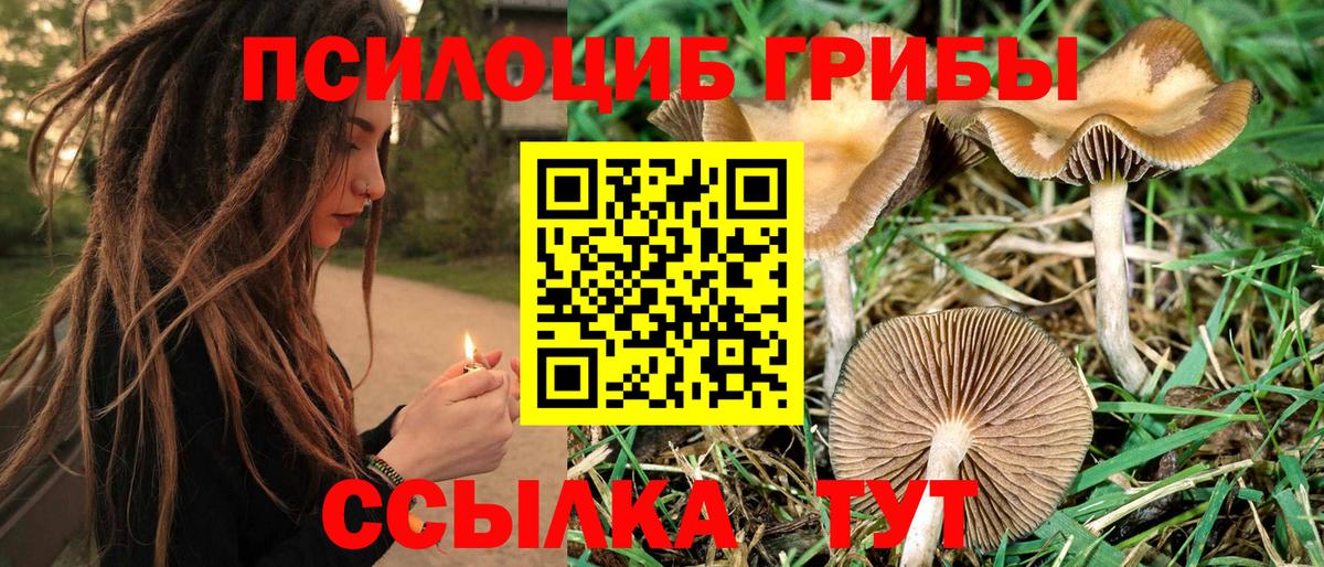 Галлюциногенные грибы MAGIC MUSHROOMS Чебаркуль