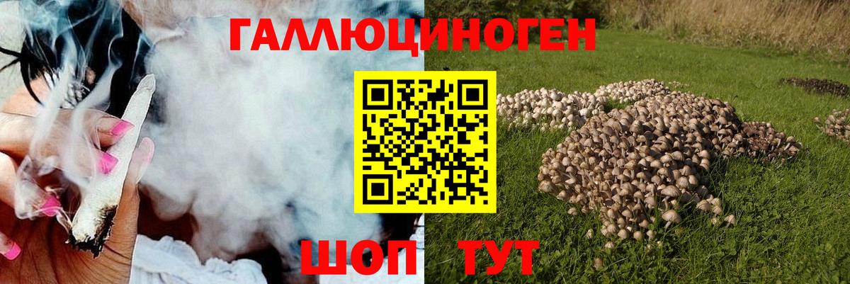Галлюциногенные грибы Magic Shrooms  Вход с VPN  Чебаркуль 
