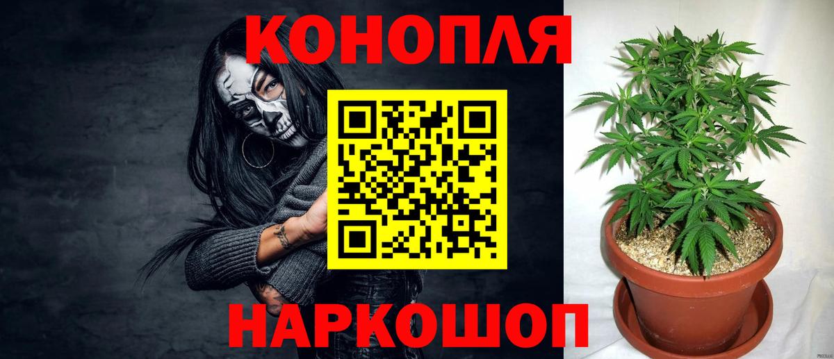 Бошки марихуана марихуана  Бошки Шишки THC 21%  Каннабис Bruce Banner  Чебаркуль  Вход с VPN  Каннабис SATIVA & INDICA 